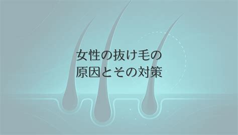 マルチーズの抜け毛対策: 原因と解決方法網羅