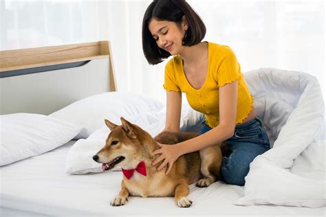 マンションで犬を飼う