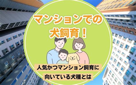 マンションに住む際の犬飼育に関する包括ガイド