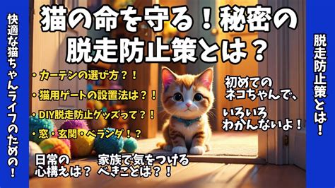 マンション猫の脱走防止対策を徹底解説！愛猫の命を守るために