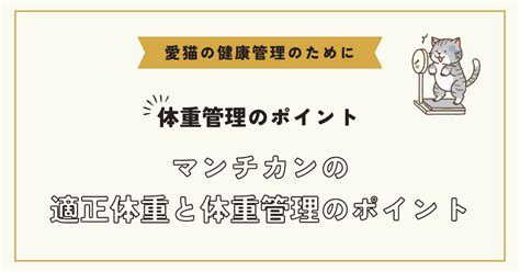 マンチカン 体重：標準と適正管理