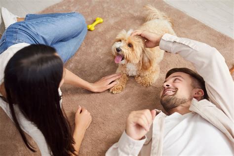 ミニチュアインドアパピーを飼う前に知っておくべきこと