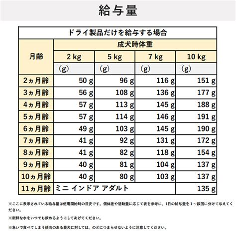 ミニ インドア パピーを健康的に育てるための完全ガイド