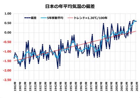 ミネラルウォーターが猫に及ぼす影響：効果とリスクを徹底解説