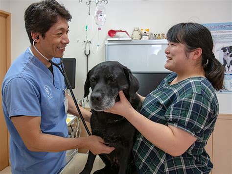 メイプルアニマルクリニック：ペットの健康をトータルサポート