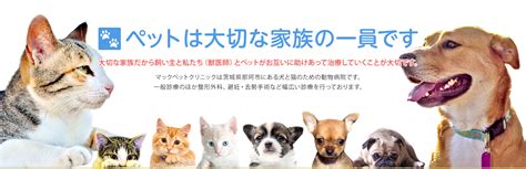 メイプル動物クリニック: あなたの大切な家族の健康と幸せのために