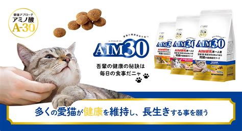 メスの仔猫のすべて: 健康、ケア、トレーニング