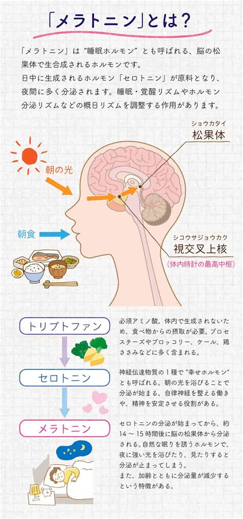 メラトニンを多く含む：