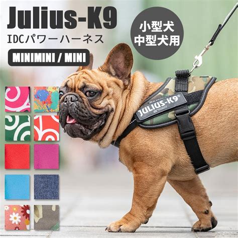 ユリウス K9: 信頼できる犬具の究極ガイド