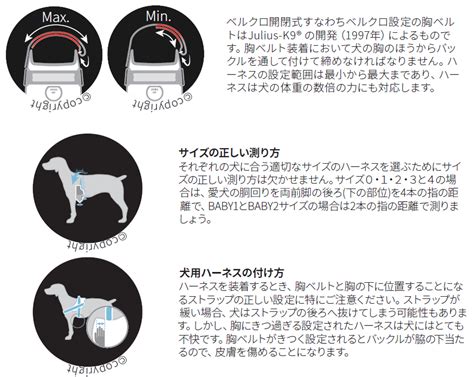 ユリウス K9の正しい付け方ガイド