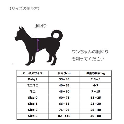 ユリウス K9 サイズ表