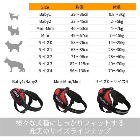 ユリウス K9 ハーネスのサイズ測定ガイド