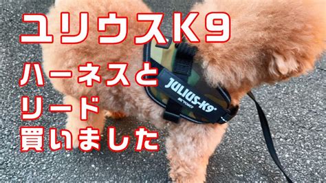 ユリウス K9 ハーネス：総合ガイドとレビュー