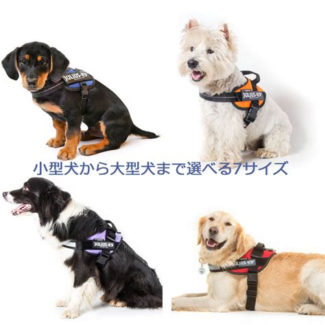 ユリウス k9 サイズ: 犬種別最適なハーネス選びのガイド