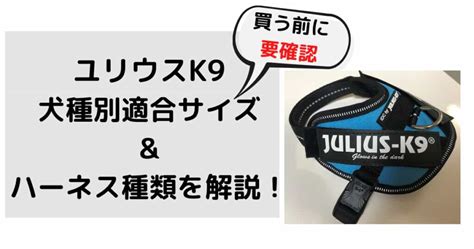 ユリウスK9サイズガイド：愛犬に完璧なサイズを見つけるための徹底ガイド