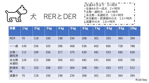 ユーカヌバ カロリー：愛犬の健康のためのカロリー計算