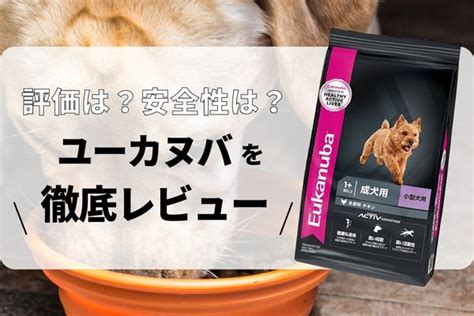 ユーカヌバ キャットフード 評価: 愛猫のためのプレミアム選択肢