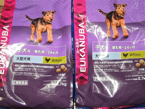 ユーカヌバ 子犬 用: 愛犬の健やかな成長に必要な栄養バランス