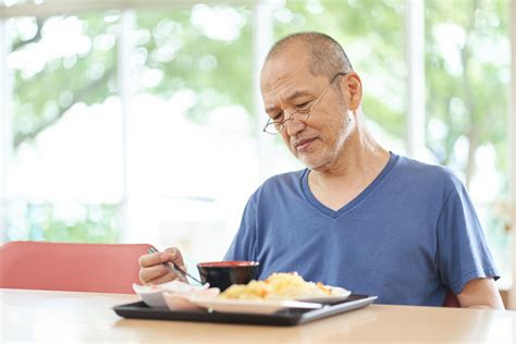 ラブラドールの食欲不振：原因、対策、食事管理