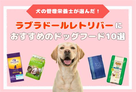 ラブラドールの餌の量: 愛犬の健康維持に欠かせないガイド