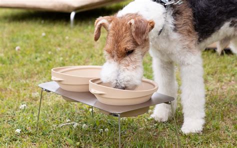 リッチェル サークル：愛犬の快適で安全な居住空間