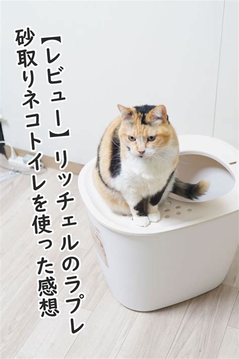 リッチェル 猫トイレ: 愛猫のための快適で清潔な空間