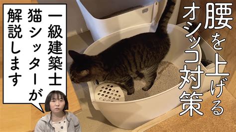 リッチェル 猫トイレのすべて：究極の猫トイレガイド