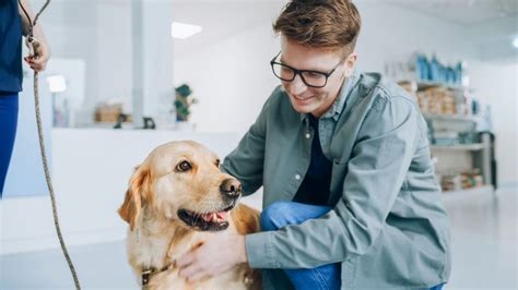 リビングに犬を迎えるメリット