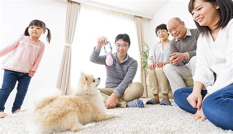 リビング 犬：共生から始まる、人とペットの幸せな暮らし