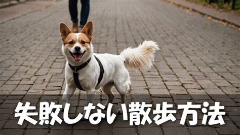 リードを使った犬のしつけ: 完全ガイド