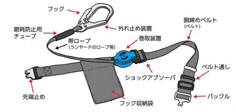 レザーハーネスの選び方と安全な使用ガイド