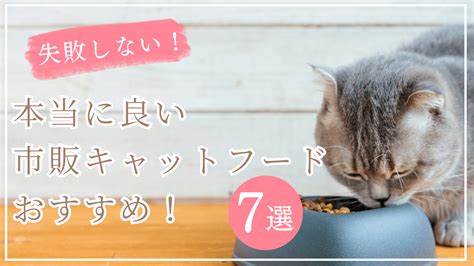 レトルト猫フードの選び方とおすすめランキング〜愛猫の健康と幸せのために〜