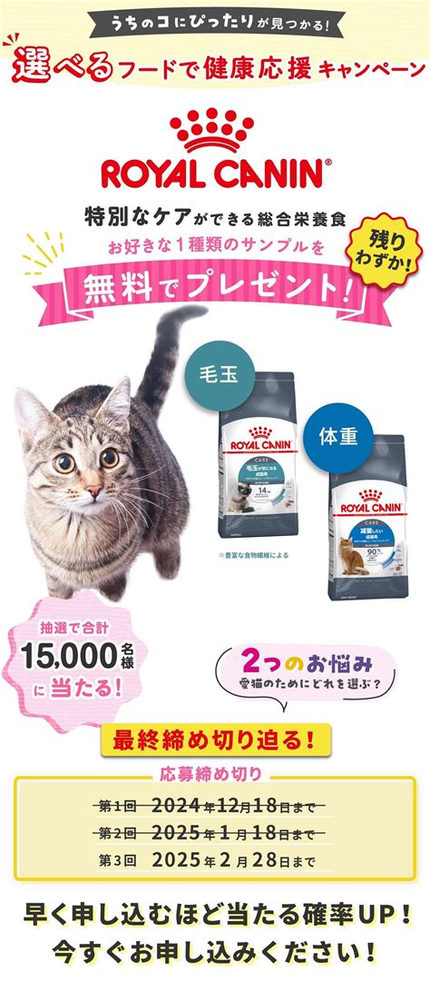 ロイヤルカナンが愛猫の健康に貢献する方法