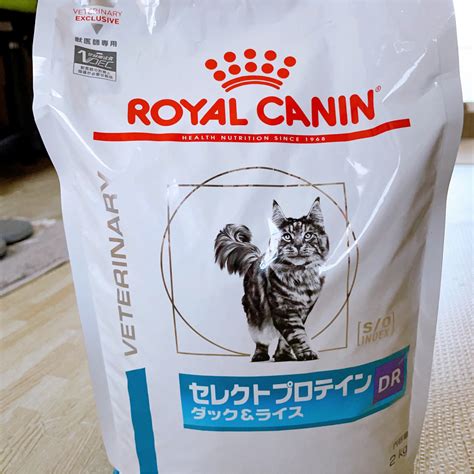 ロイヤルカナンのお試しで愛犬・愛猫の健康をワンランクアップ！