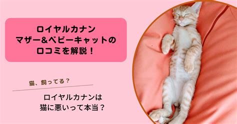 ロイヤルカナンはダメ! 猫の健康を害する理由徹底解説