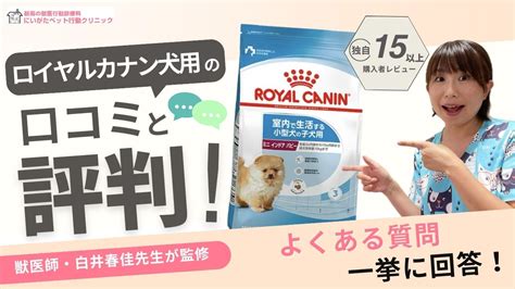 ロイヤルカナン アレルギー 口コミ - 獣医師と飼い主からのリアルな評価