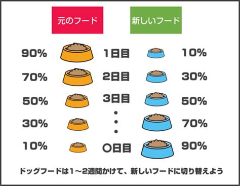 ロイヤルカナン ドッグフードの適量計算ガイド