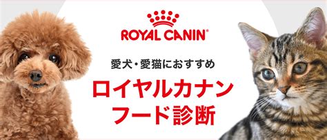 ロイヤルカナン フードトライアル：あなたの愛犬・愛猫にぴったりの食事を見極める