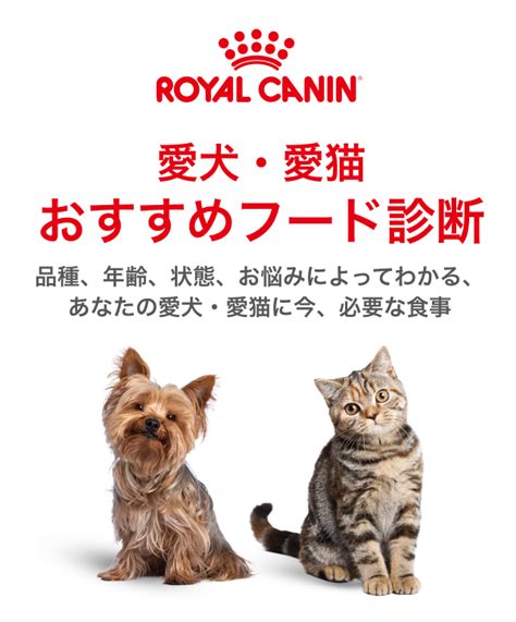 ロイヤルカナン 通販で愛犬・愛猫に最適なフードをお探しください！