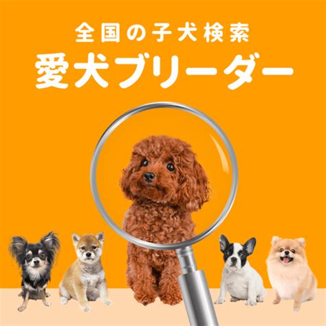 ロイヤルカナン 1000円クーポンで賢く愛犬の健康を守る