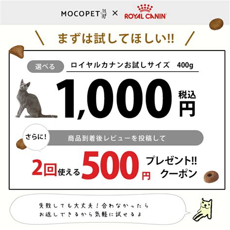 ロイヤルカナン 1000円クーポンで賢く購入しよう！徹底ガイド