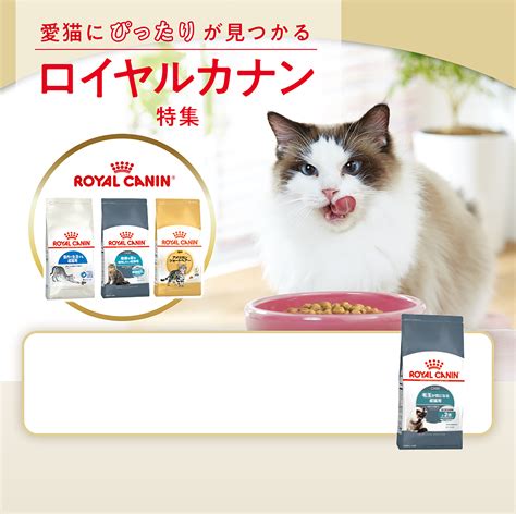 ロイヤルカナン 10kg 猫: 愛猫の健康を支える総合栄養食