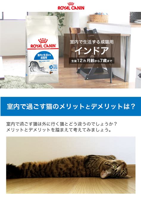 ロイヤルカナン 2kgで愛猫の健康と幸せをサポート