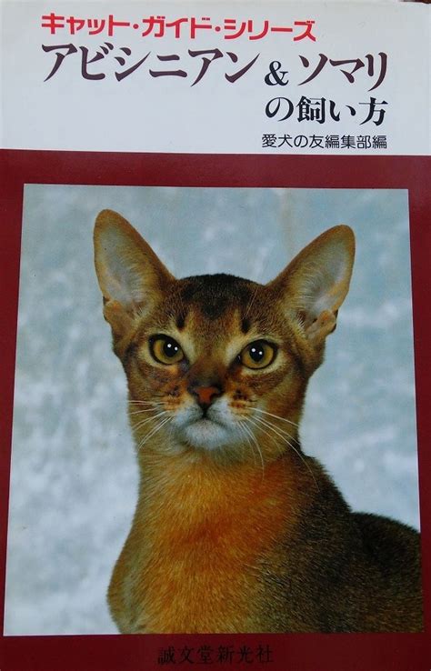 ロイヤルキャットの飼い方ガイド