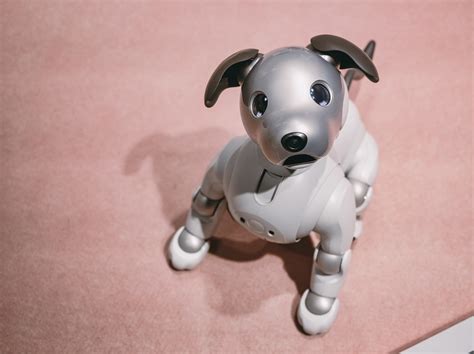 ロボットの犬: 未来のペットのすべて