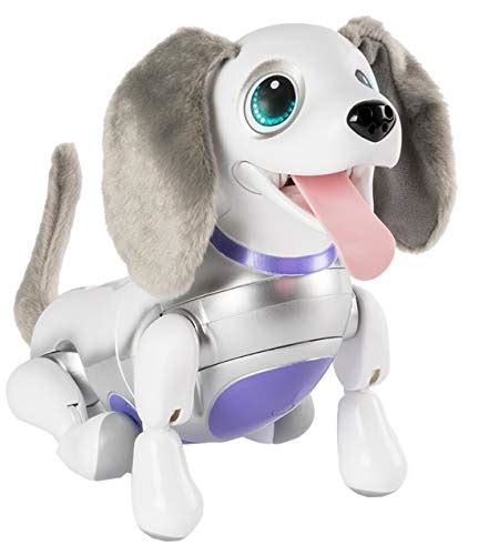 ロボットの犬の選び方とおすすめ商品10選！相棒を見つけて快適な毎日へ