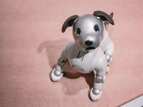 ロボットペット犬のすべて：メリット、デメリット、選び方