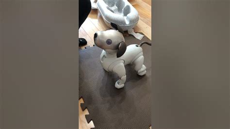 ロボットワンちゃんの台頭