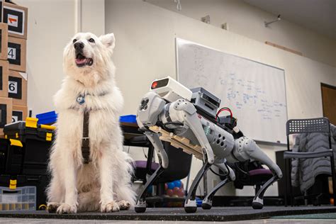 ロボット犬って何？