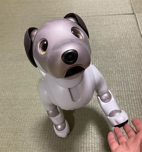 ロボット犬型ってなに？選び方、おすすめモデルを徹底解説！